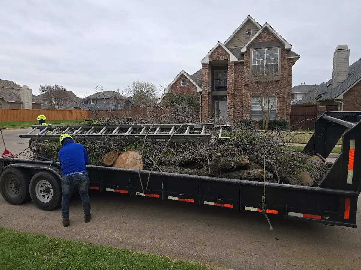 Expert Tree Removal with proper safety equipment in Kaylor